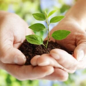 Biopolímeros compostables marca Inzea®